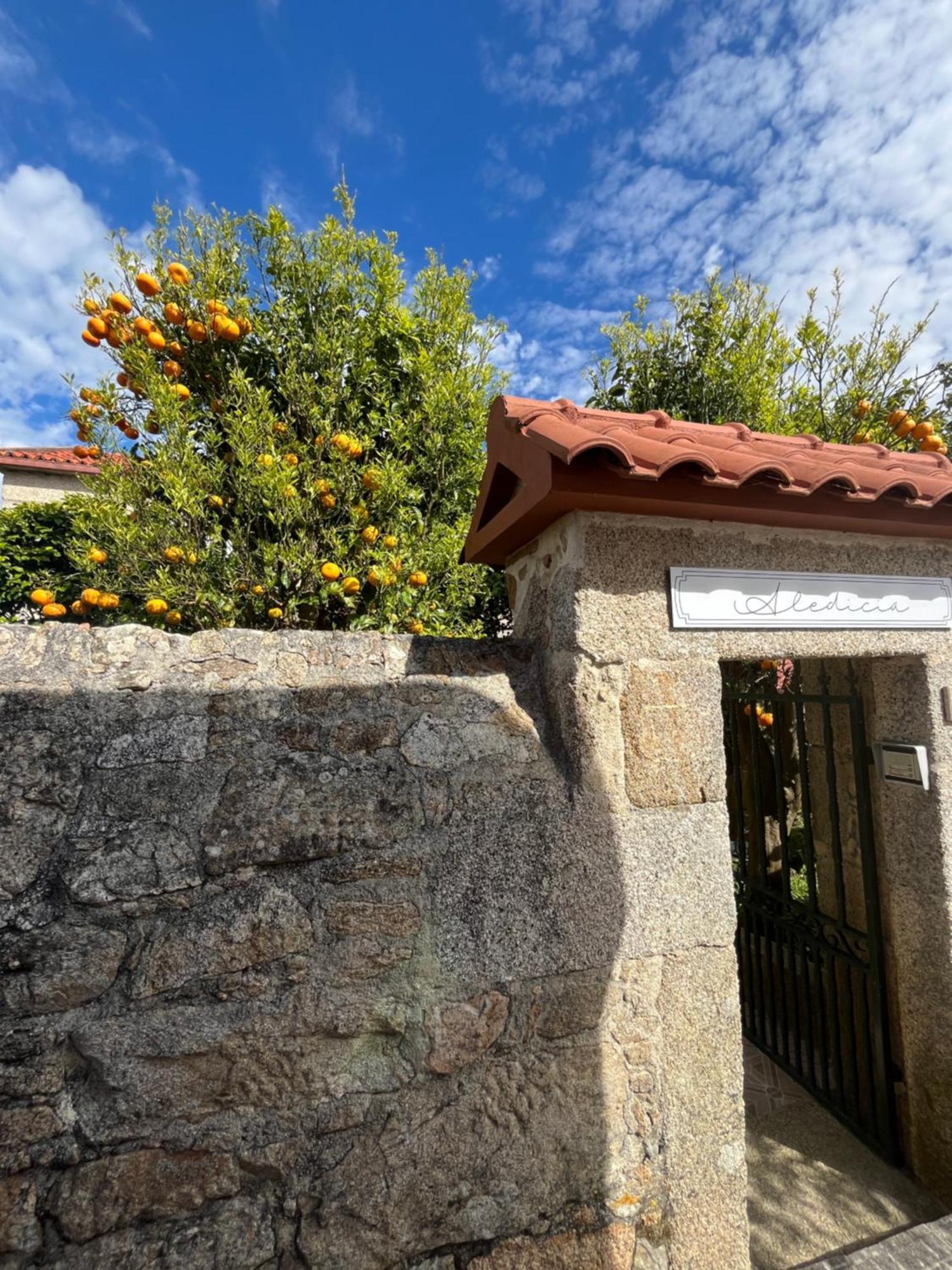 Villa Complejo Vacacional Aledicia Carreira Esterno foto